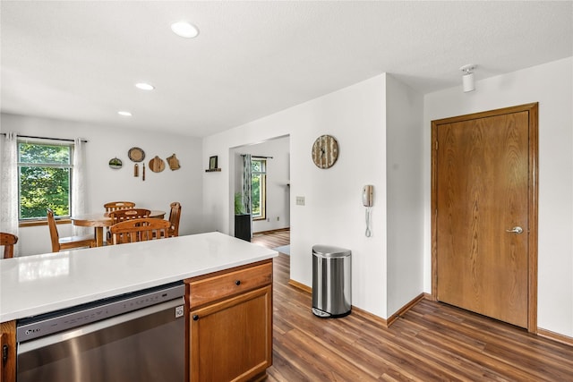 9421 NE 28th Ct, Ankeny, IA 50021 - kitchen featuring stainless steel dishwasher, plenty of natural light, dark wood-style flooring, light countertops, and recessed lighting
