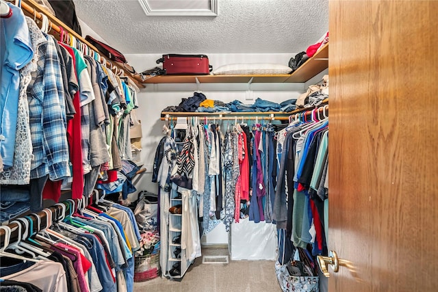 9421 NE 28th Ct, Ankeny, IA 50021 - walk in closet with carpet floors