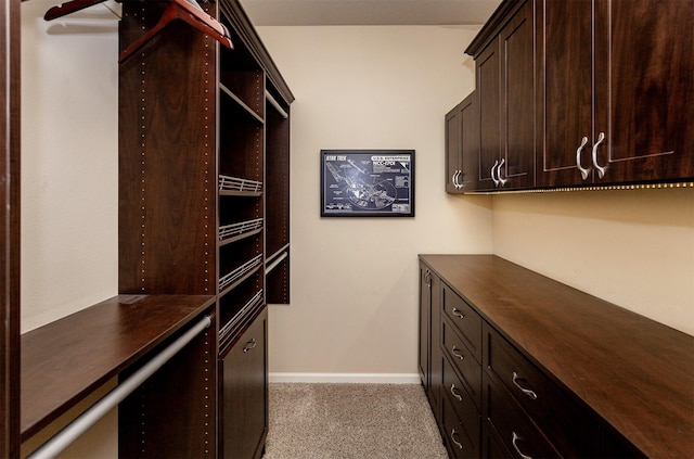 938 15th St SE, Altoona, IA 50009 - walk in closet with light colored carpet