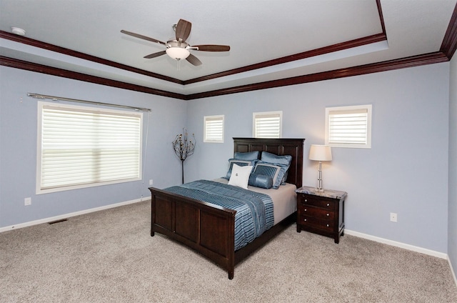 938 15th St SE, Altoona, IA 50009 - bedroom featuring a raised ceiling, crown molding, multiple windows, and light colored carpet