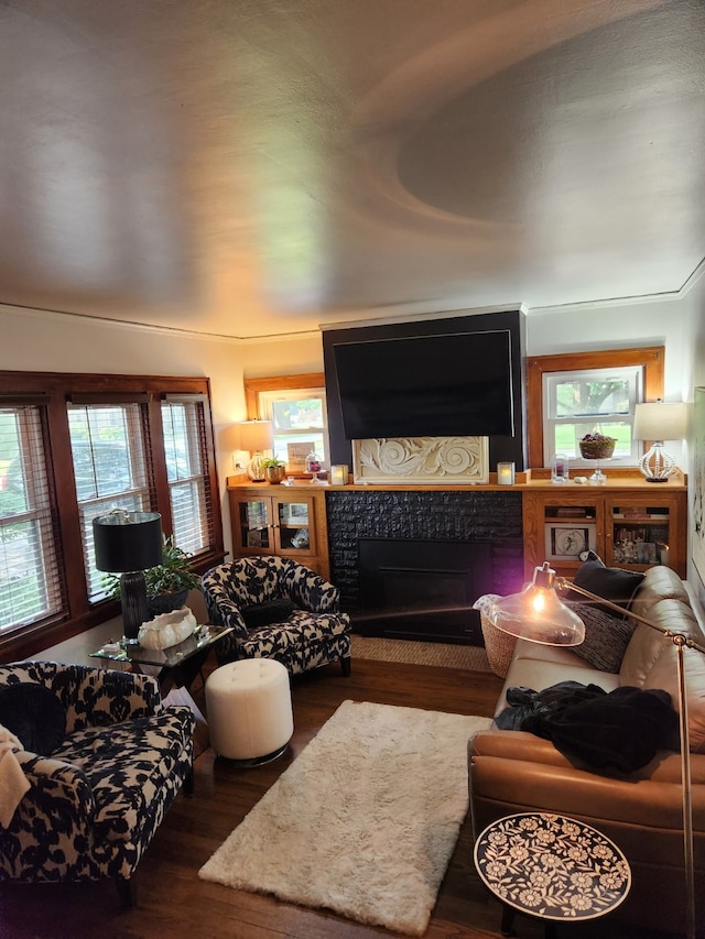 2904 48th St, Des Moines, IA 50310 - living room featuring wood finished floors, a fireplace with flush hearth, and plenty of natural light