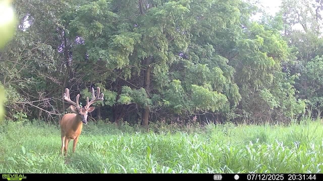 TBD Highway 14, Knoxville, IA 50138 - photo 33