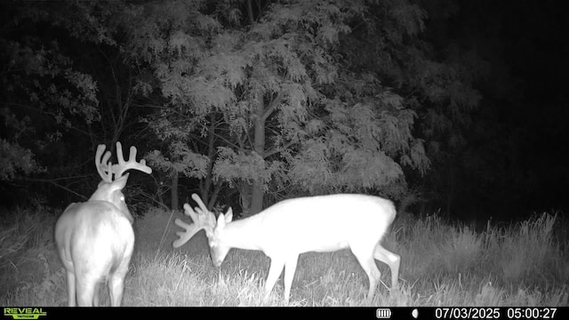 TBD Highway 14, Knoxville, IA 50138 - photo 35