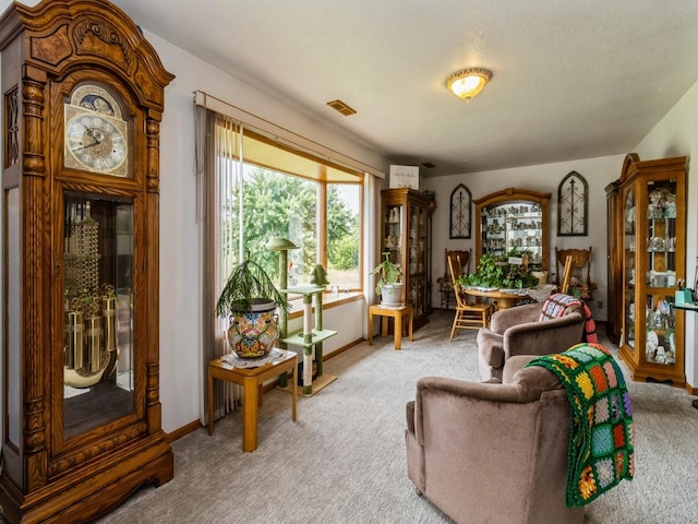 1439 N Shore Dr, Knoxville, IA 50138 - living room with light colored carpet