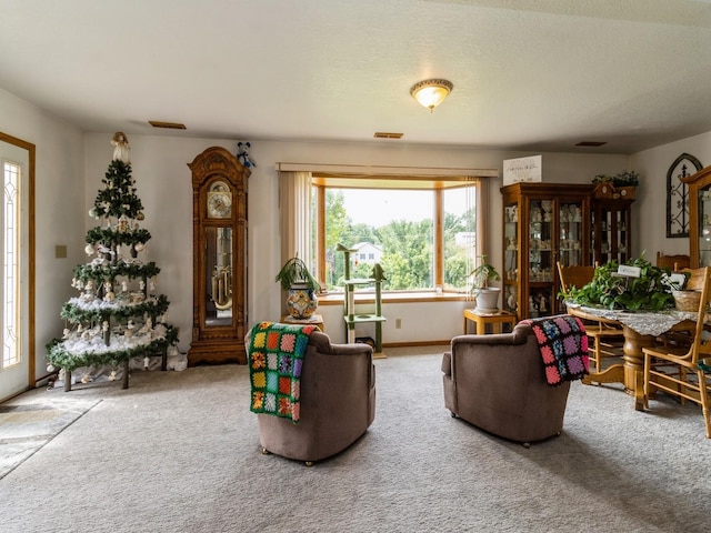1439 N Shore Dr, Knoxville, IA 50138 - carpeted living area featuring baseboards