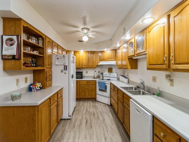 1439 N Shore Dr, Knoxville, IA 50138 - kitchen featuring white appliances, under cabinet range hood, a ceiling fan, brown cabinets, and light wood-type flooring