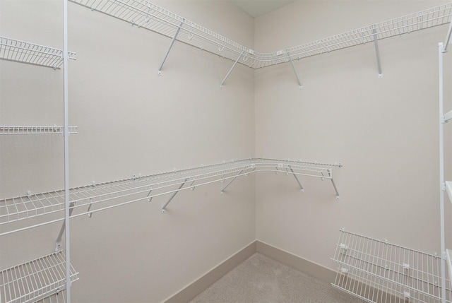 519 16th Avenue Ct SE, Altoona, IA 50009 - walk in closet with carpet