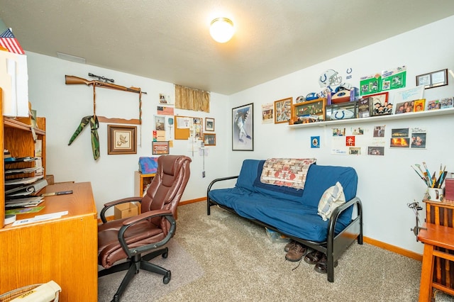 9102 NW Windsor Dr, Johnston, IA 50131 - carpeted office space with baseboards