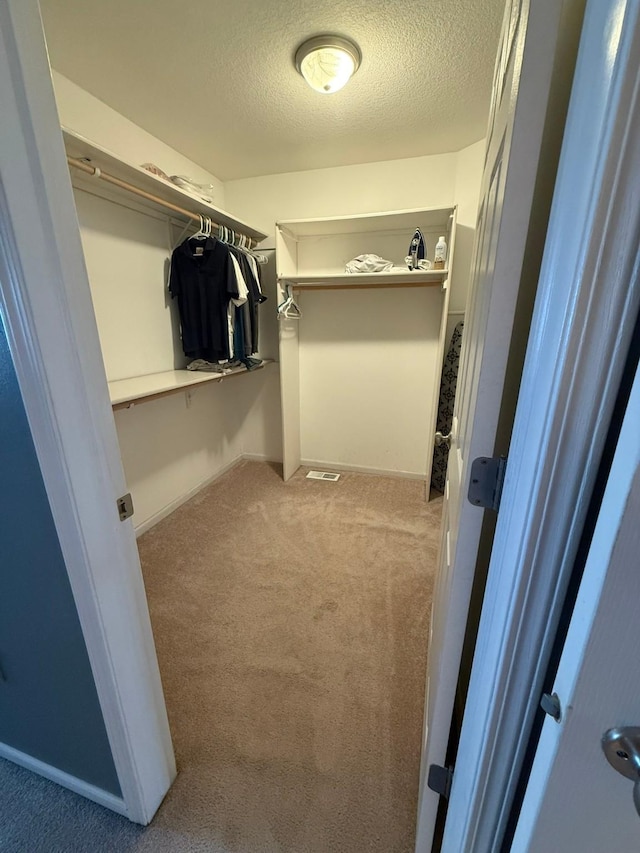 244 4th Ave W, Grinnell, IA 50112 - spacious closet with carpet flooring