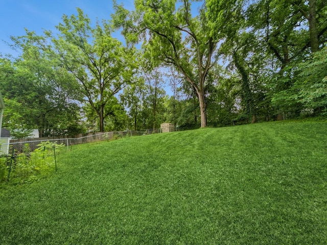 3934 Lincoln Place Dr, Des Moines, IA 50312 - view of yard