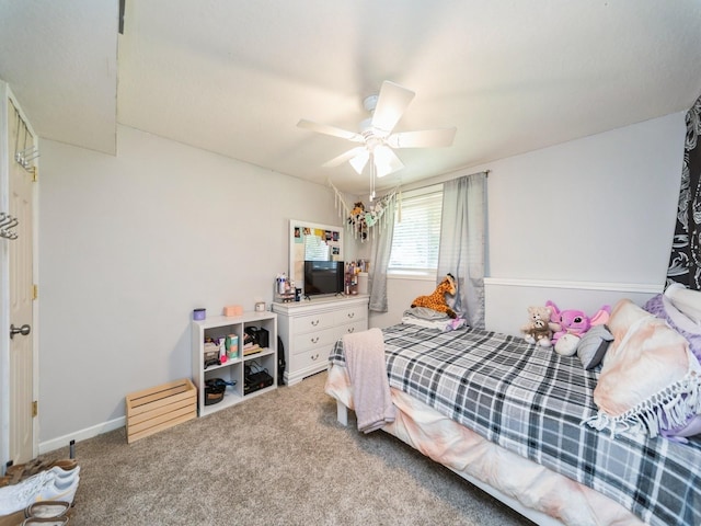 3406 SW Greenwood St, Ankeny, IA 50023 - photo 20