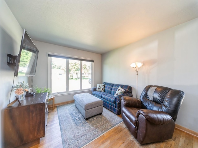 3303 Ashwood Dr, Urbandale, IA 50322 - living area featuring plenty of natural light and light wood-style floors