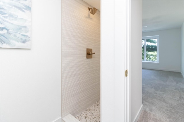 1410 20th St Unit 20, West Des Moines, IA 50265 - full bath with a tile shower and baseboards