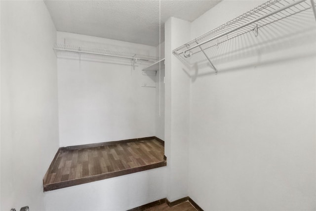 1356 E 17th Ct, Des Moines, IA 50316 - view of spacious closet