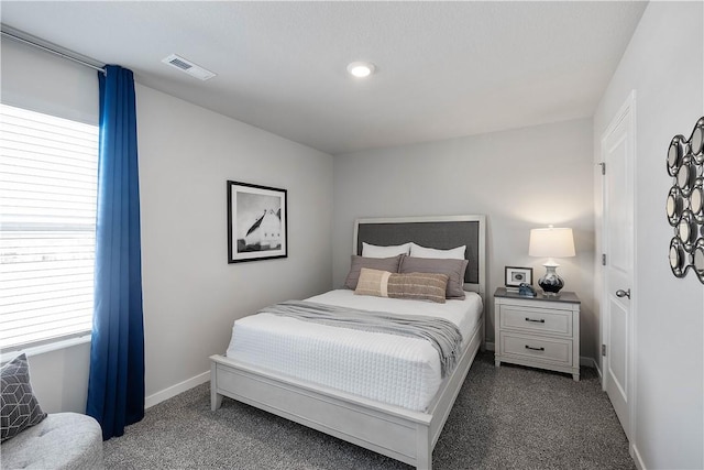 2107 Bugge Dr, Adel, IA 50003 - bedroom with dark colored carpet and multiple windows
