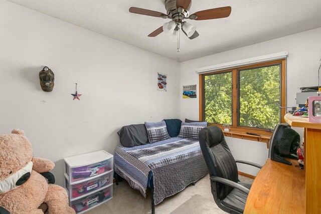 538 NW Scott St, Ankeny, IA 50023 - photo 26