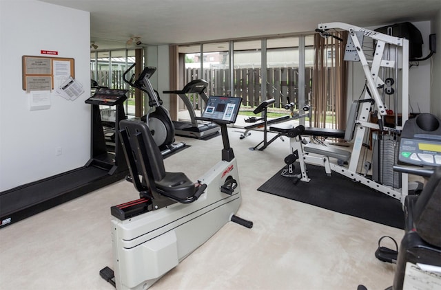 3663 Grand Ave Unit 501, Des Moines, IA 50312 - exercise room with carpet