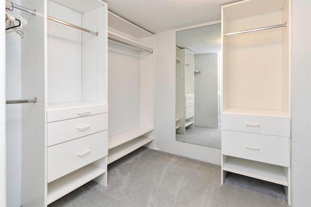 3663 Grand Ave Unit 501, Des Moines, IA 50312 - walk in closet featuring carpet