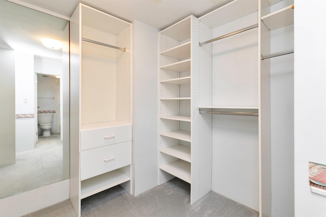 3663 Grand Ave Unit 501, Des Moines, IA 50312 - spacious closet with carpet flooring