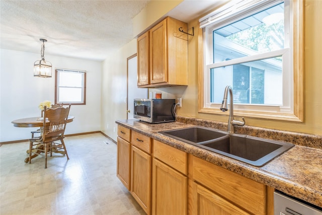 712 NE 9th St, Grimes, IA 50111 - photo 4