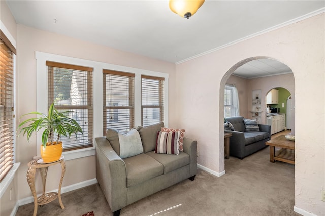 4104 1st St, Des Moines, IA 50313 - living area featuring carpet, arched walkways, and ornamental molding