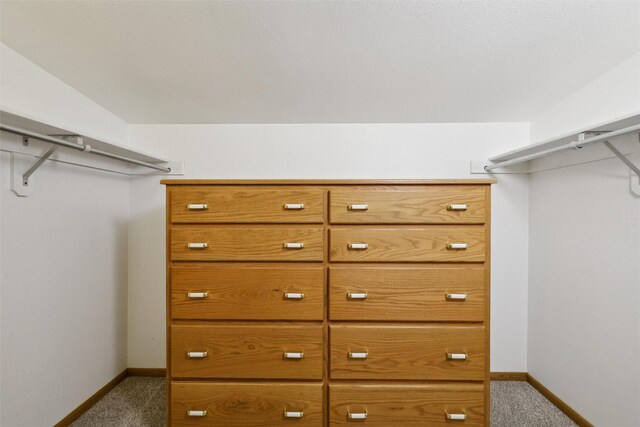 204 N Gaines St, Stuart, IA 50250 - walk in closet with carpet flooring