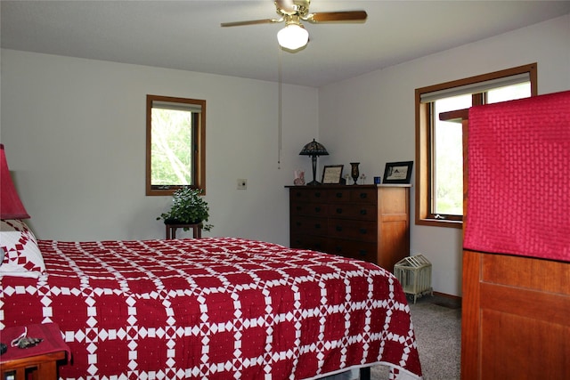 311 W View Dr, Osceola, IA 50213 - bedroom with carpet flooring and ceiling fan