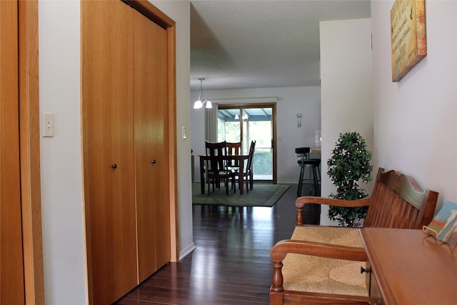 311 W View Dr, Osceola, IA 50213 - corridor featuring dark wood finished floors