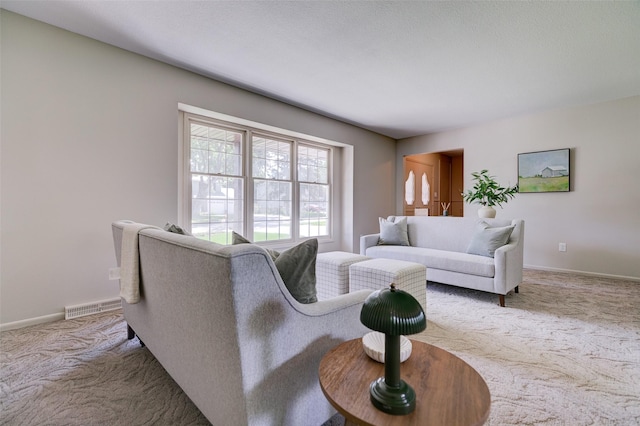 1204 32nd St, West Des Moines, IA 50266 - photo 4