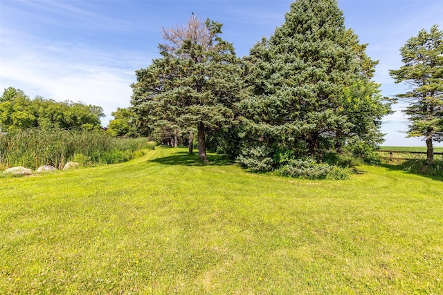 2354 Hancock Ave, Eagle Grove, IA 50533 - photo 35