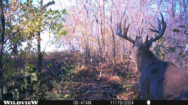 00 220th Ave, Hartford, IA 50118 - photo 25