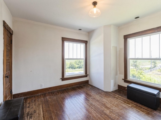 1110 190th St, Dexter, IA 50070 - photo 16