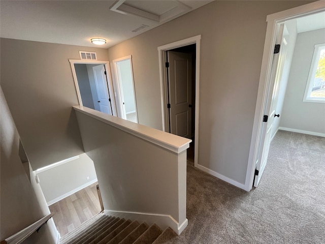 905 Knoll Dr, Norwalk, IA 50211 - photo 17