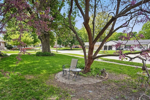 921 16th St, West Des Moines, IA 50265 - photo 3