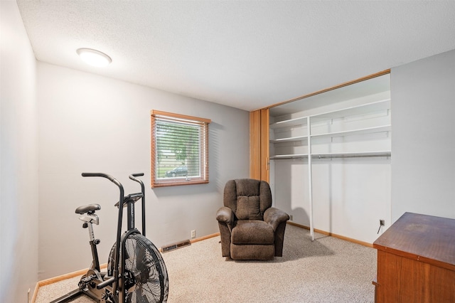 1529 19th St, West Des Moines, IA 50265 - photo 29