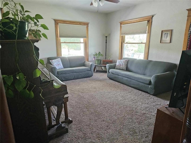2629 Pecan Ave, Guthrie Center, IA 50115 - photo 10