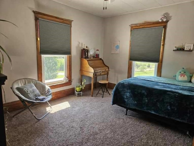 2629 Pecan Ave, Guthrie Center, IA 50115 - photo 18