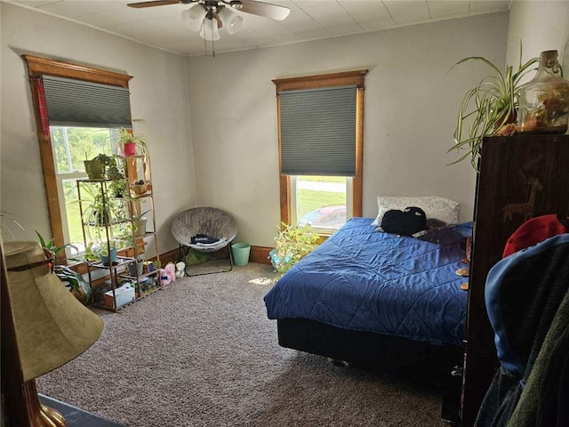 2629 Pecan Ave, Guthrie Center, IA 50115 - photo 19