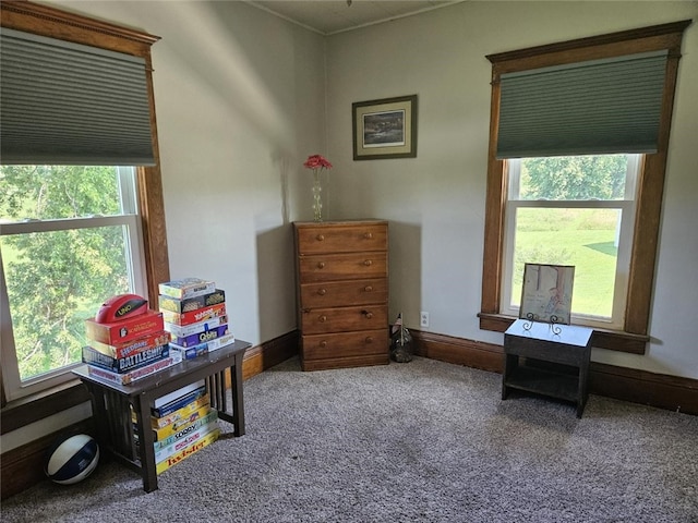 2629 Pecan Ave, Guthrie Center, IA 50115 - photo 21