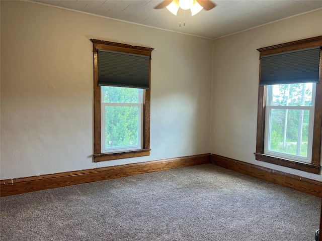2629 Pecan Ave, Guthrie Center, IA 50115 - photo 22
