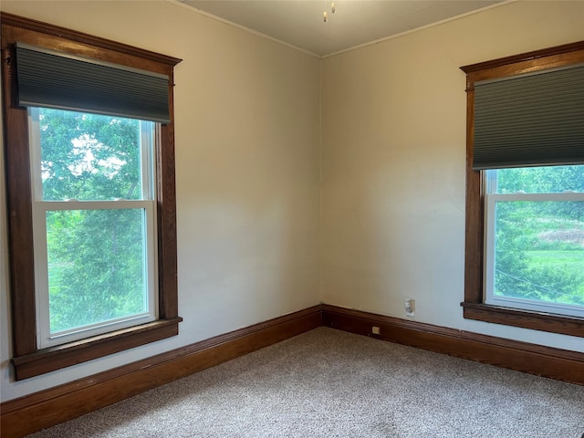 2629 Pecan Ave, Guthrie Center, IA 50115 - photo 24
