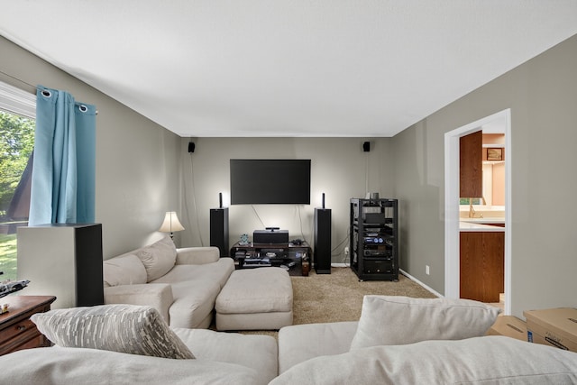 923 Cummins Pkwy, Des Moines, IA 50312 - photo 5