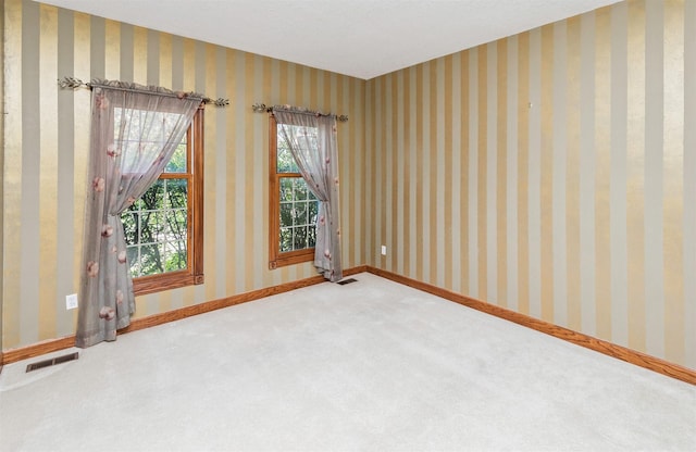14246 Elmcrest Ct, Clive, IA 50325 - photo 8
