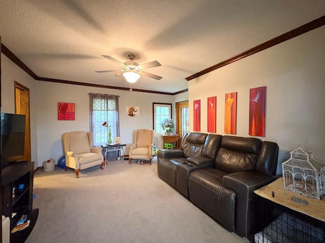 32361 250th St, Grimes, IA 50111 - photo 20