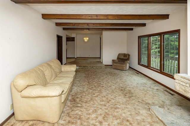 4860 E Oakwood Dr, Pleasant Hill, IA 50327 - photo 9