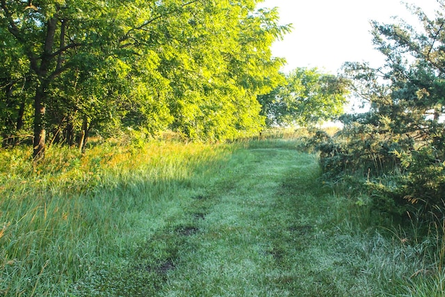 000 Clanton Creek Rd, Lorimor, IA 50149 - photo 20