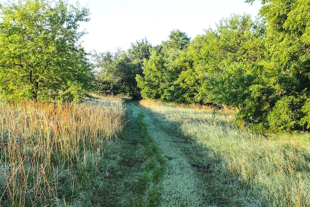 000 Clanton Creek Rd, Lorimor, IA 50149 - photo 21