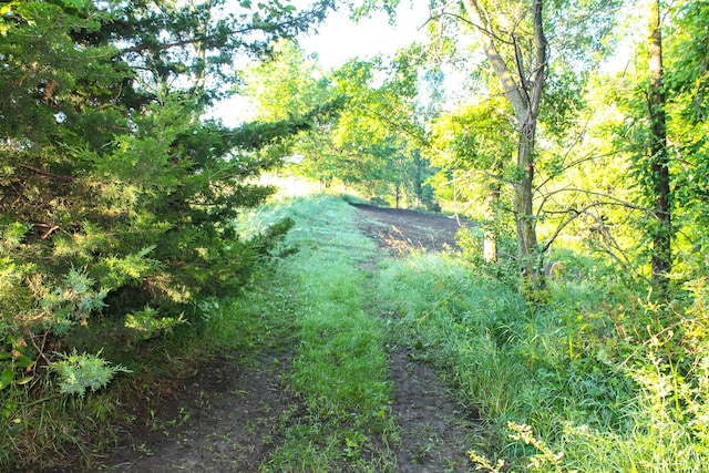 000 Clanton Creek Rd, Lorimor, IA 50149 - photo 22