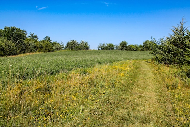 3199 Limestone Ave, Lorimor, IA 50149 - photo 14