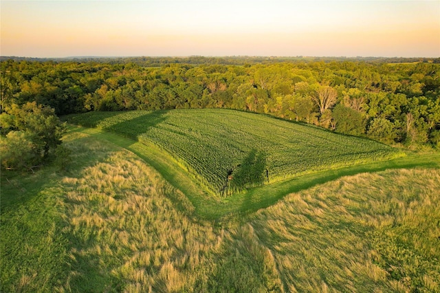 00 Hempstead Pl, Prole, IA 50229 - photo 12
